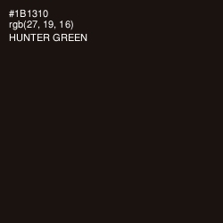 #1B1310 - Hunter Green Color Image